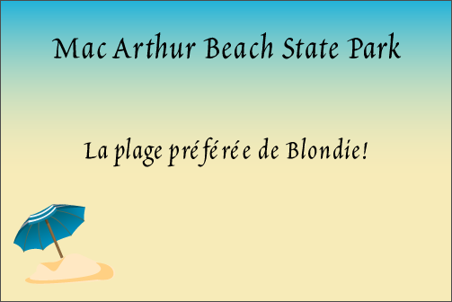 Plage de MacArthur Beach State Park